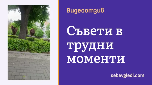 Алея с голямо дърво, нисък жив плет и жилищни сгради