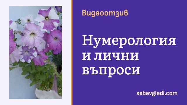 Розови, лилави и бели петунии пред светла стена