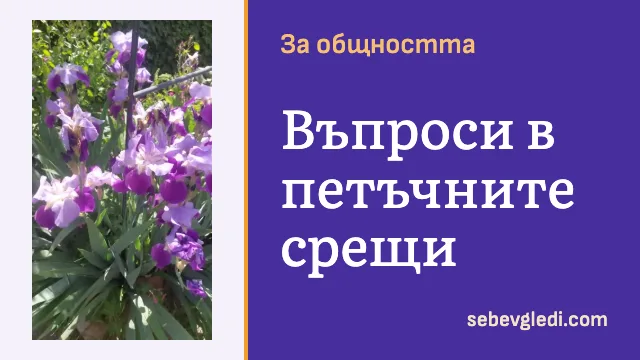 Лилави ириси със зелени листа в градина